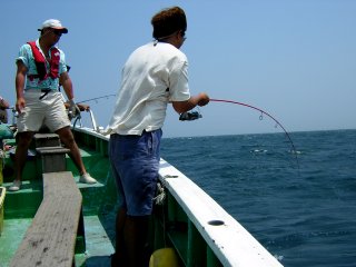 �t�����[��