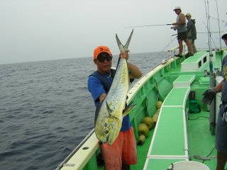 ���V�C��