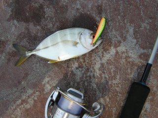 �������b�L