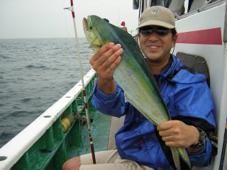 �y���y��