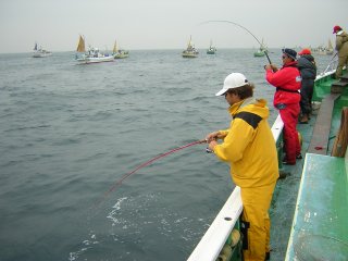 �J�c�I�D�c