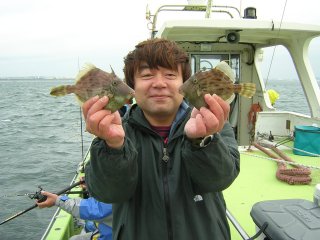 �y�t�l�n��