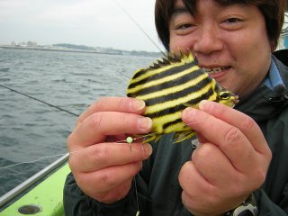 �J�S�K�L�_�C