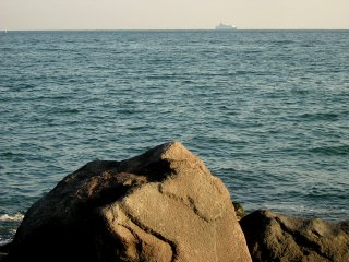 ���ɍ��؋q�D