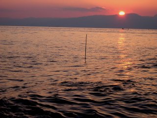 ���̓���