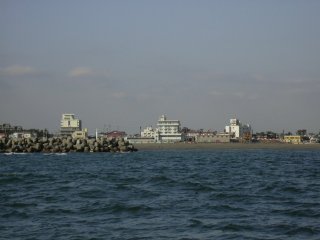 �T�U���r�[�`��