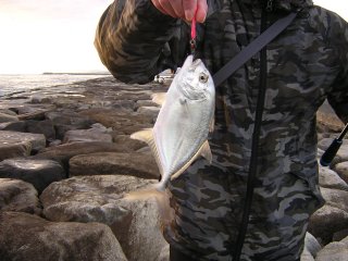 ���E�j�����b�L