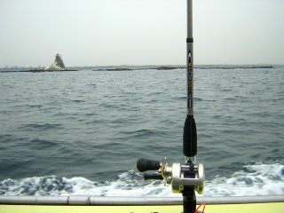 �A��̃G�{�V