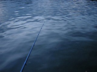 �|�C���g�P