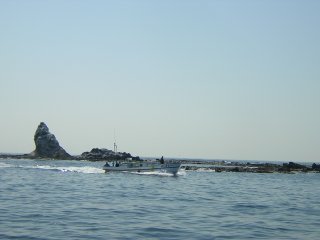 ���ڂ���