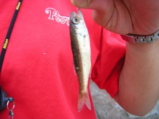 ���c���q