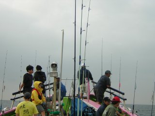 �V�C���T��