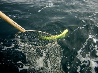 �����f�B���O