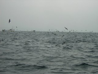 �g�����}