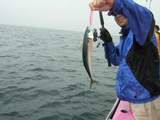 �}�b�J����