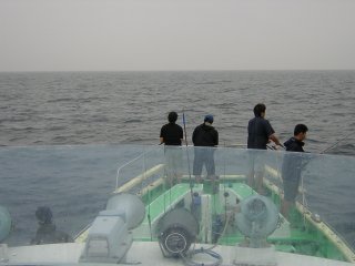 �����炵���Q