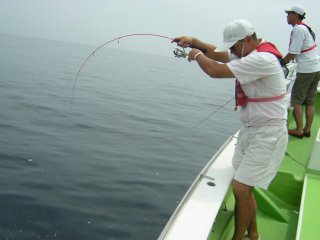 �U�E���C���{�[