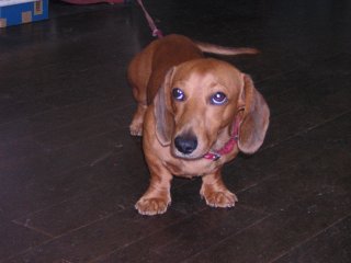 �~�j�`���A�_�b�N�X