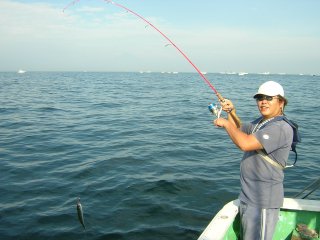 �t�����[��