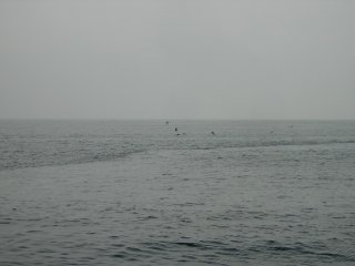 ���ڂƃg�����}