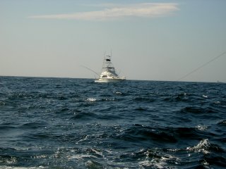 �N���[�U�[