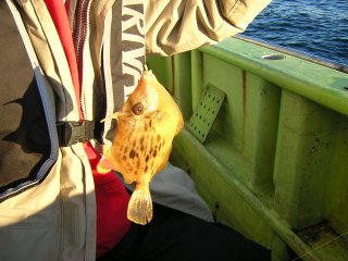 ���b�y��