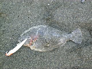 1999�N12��31���\�Q