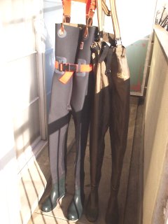 �E�G�C�_�[