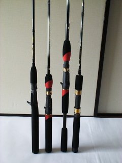PALMS] 2010 New CORALSTAR ニューコーラルスター・ドルフィン