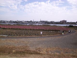 �y��̏ォ��