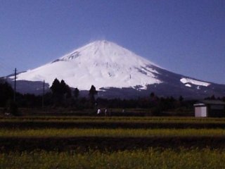 �x�m�R�ƍ؂̉�