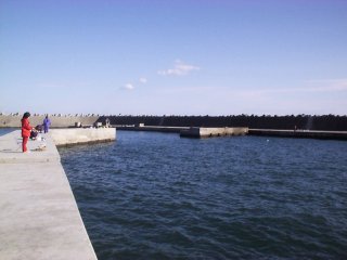 ���ːV�`�P