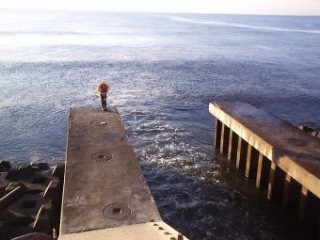 ����������