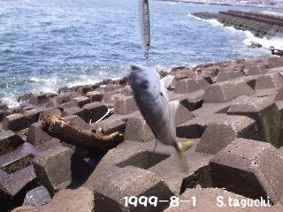 ���b�L���b�L