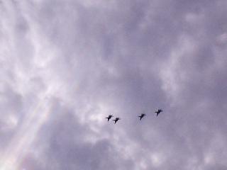 F-14�@�����߂���Ȃ�