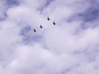 F-14�@�~�T�C�����b�N�I�I