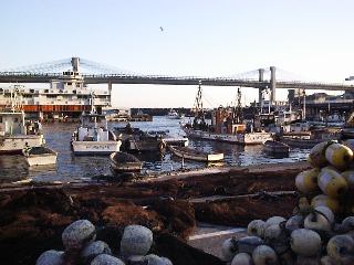 ���c���`