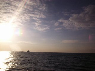 �G�{�V��ڎw����