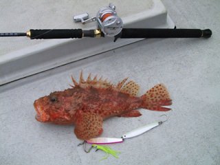 �I�j�J�T�S