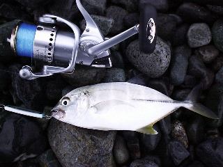 ���[���ƃ��b�L