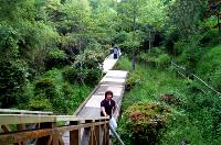 源氏ぼたるの里