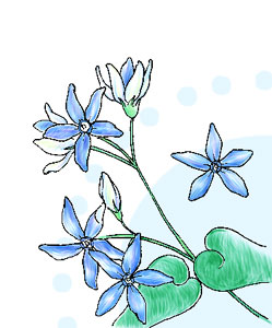 �u���[�X�^�[