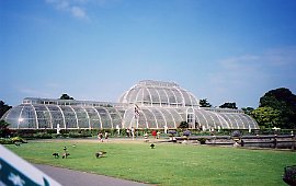 Palm House