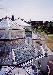 Temperate House