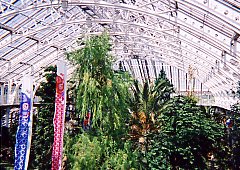 Temperate Houseŉĵڂ