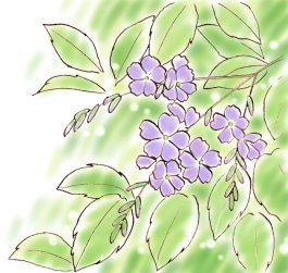 �f�������^