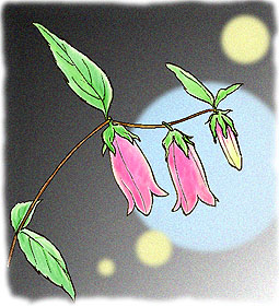 �ق���Ԃ���