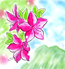 �~���}�L���V�}