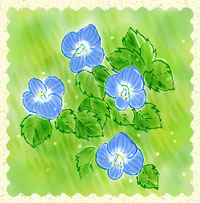 �������ʂ̂ӂ���