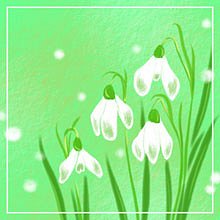 �X�m�[�h���b�v